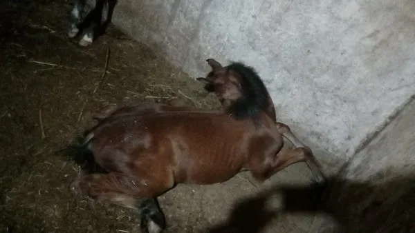 Reprodução/Arquivo Pessoal 