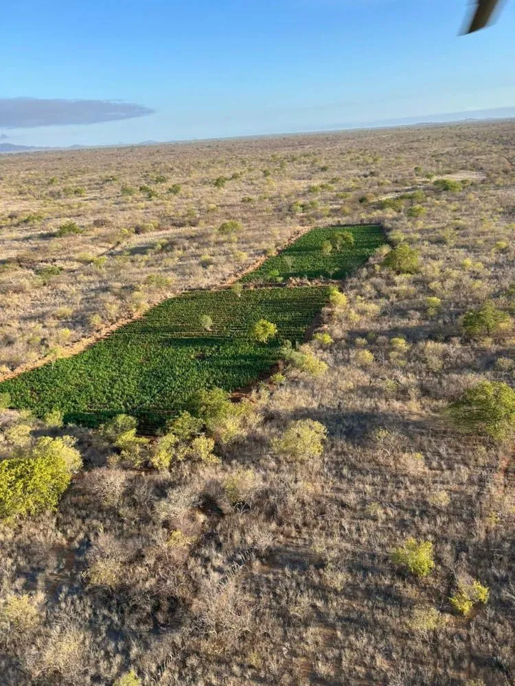 Foto: Divulgação/SSP-BA