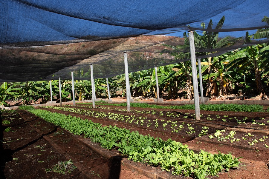 RHI Magnesita em Brumado