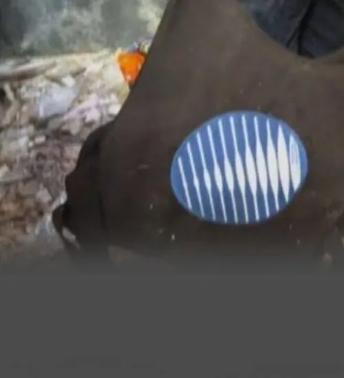 Reprodução/Divulgação 