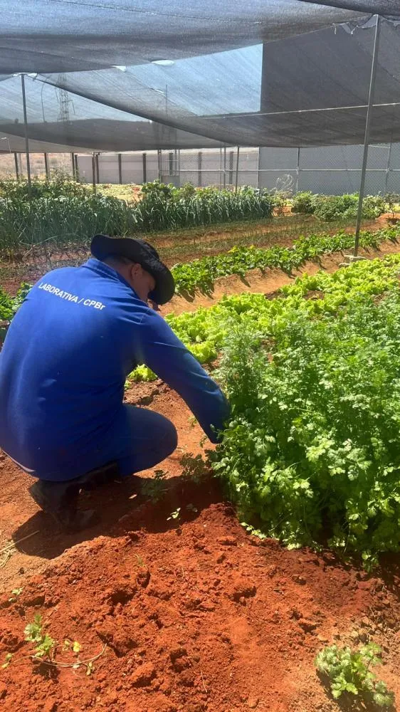 NUCOM/SEAP FOTOS: Wilton Diniz