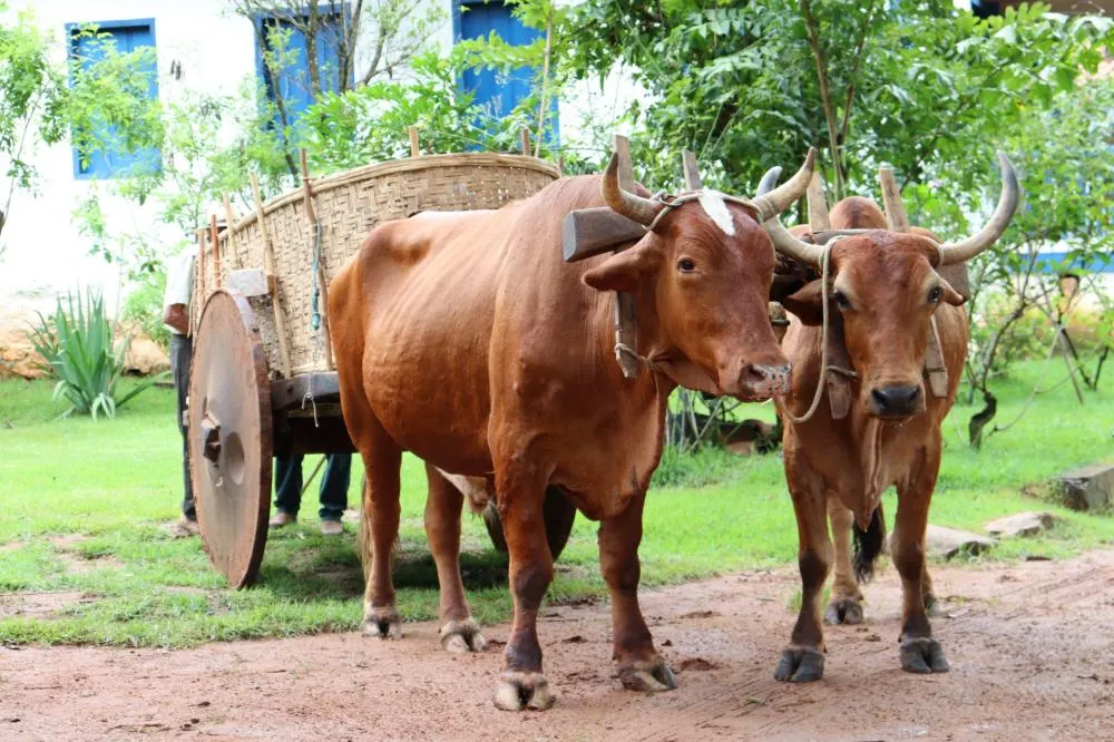 Foto: Meramente ilustrativa 