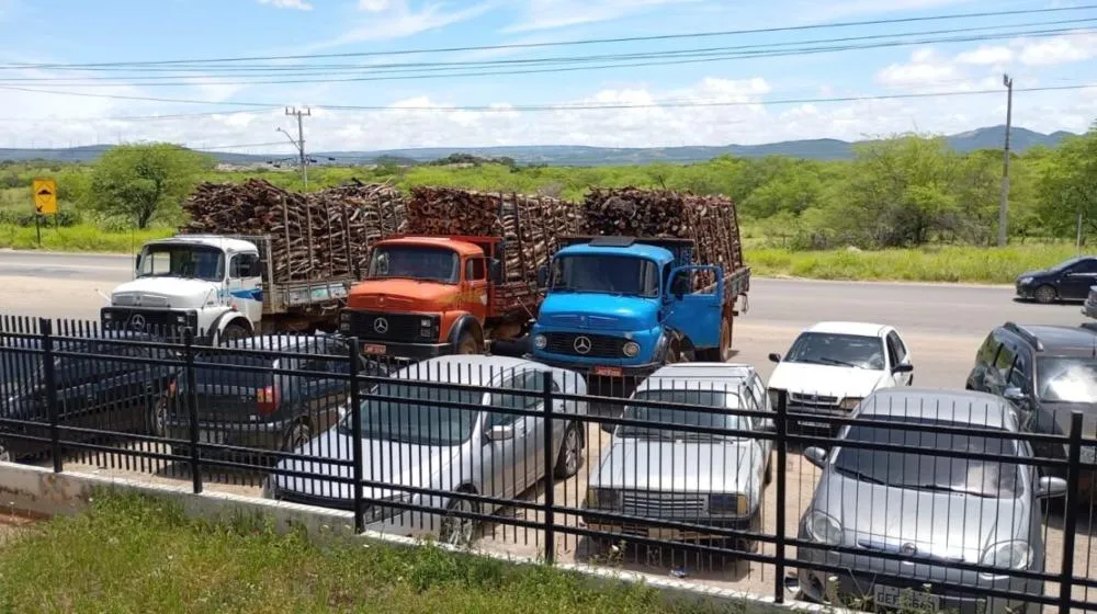 Cippa apreende cerca de 90 m³ de madeira nativa extraída ilegalmente em Palmas de Monte Alto
