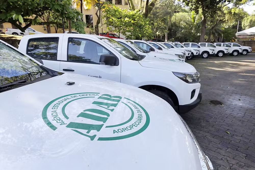 Abertas as inscrições para o concurso da Adab — Foto: Rafael Martins/GovBA