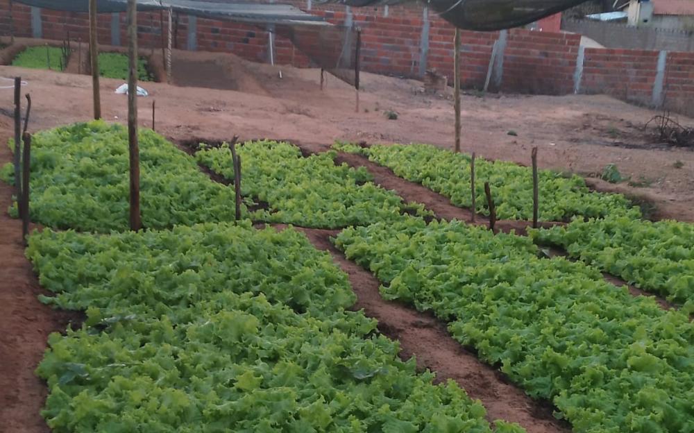 Reprodução/Secom-BA 