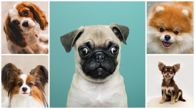 Reprodução/ Internet