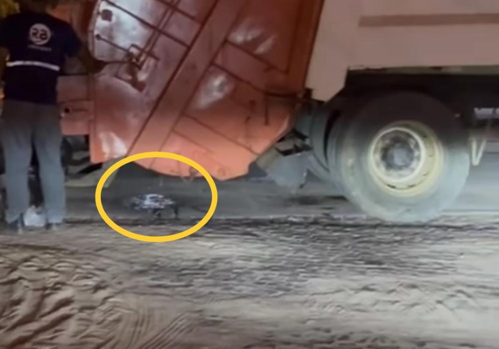 Reprodução/Whatsapp