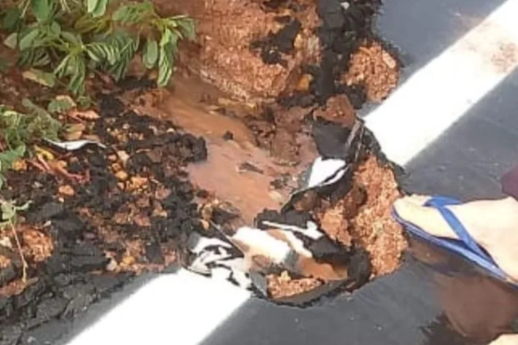 Divulgação/Achei Sudoeste 