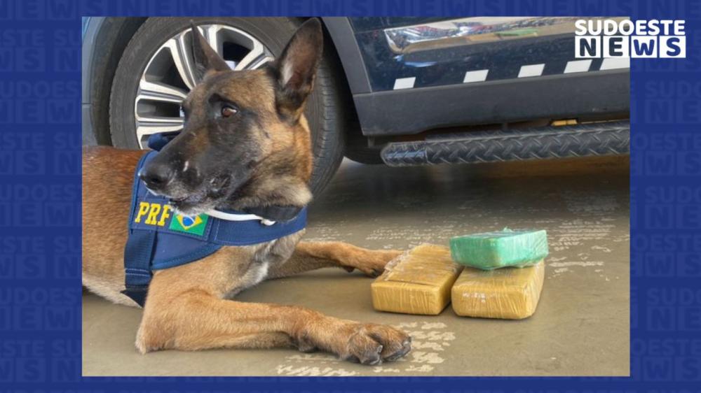 Reprodução/Polícia Rodoviária Federal