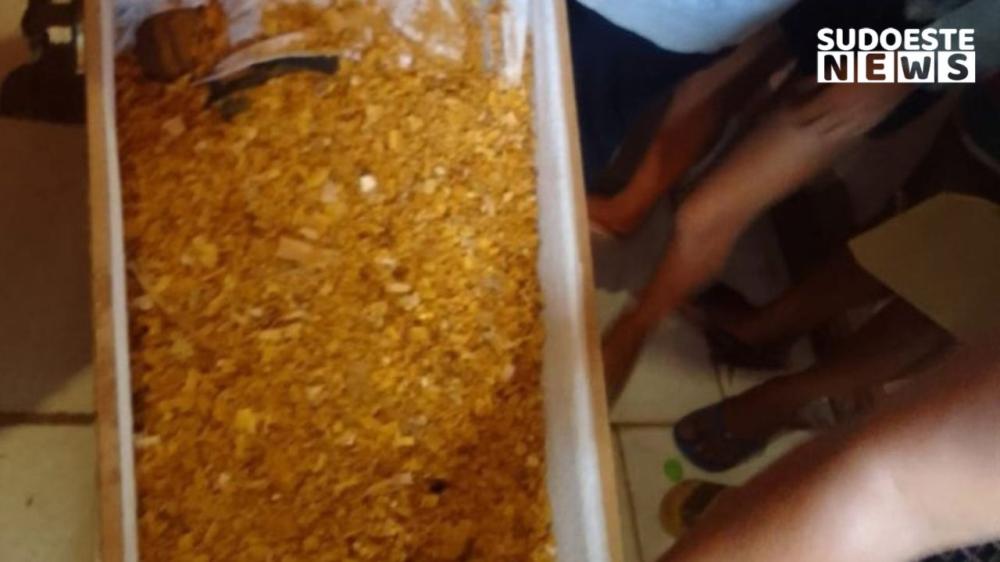  Corpo foi embalsamado em maravalha — Foto: reprodução redes sociais