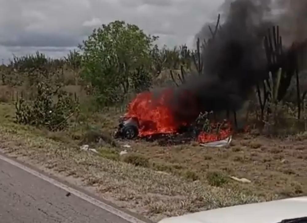 Reprodução/Whatsapp 