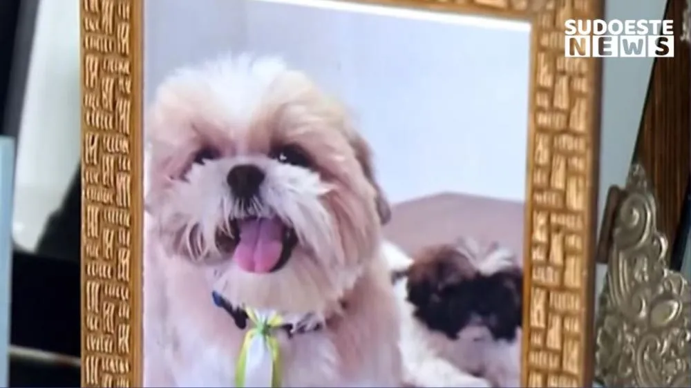 Reprodução/Arquivo Pessoal 