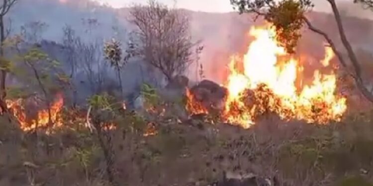 Reprodução/ Achei Sudoeste