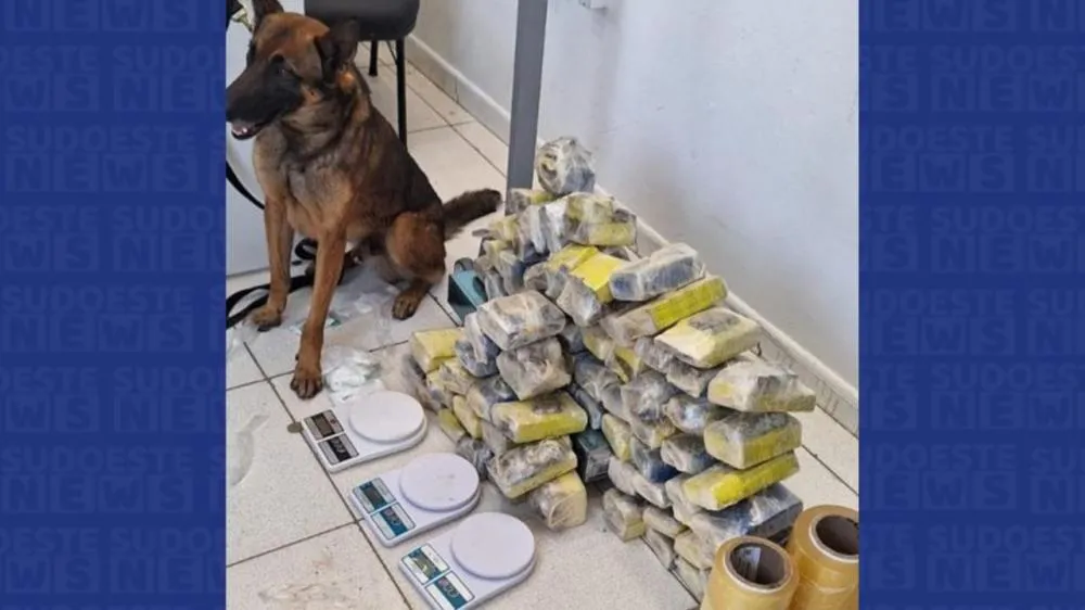 Reprodução / Divulgação